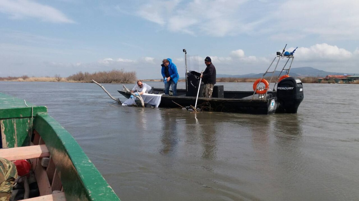 Φωτογραφίες σοκ: Μετανάστης βρέθηκε νεκρός από Έλληνες ψαράδες στο Δέλτα του Έβρου 